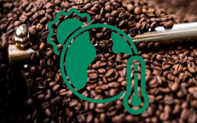 How Climate Change Impacts Coffee Production